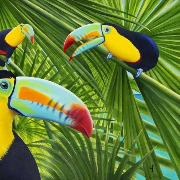 Toucan перевод на русский