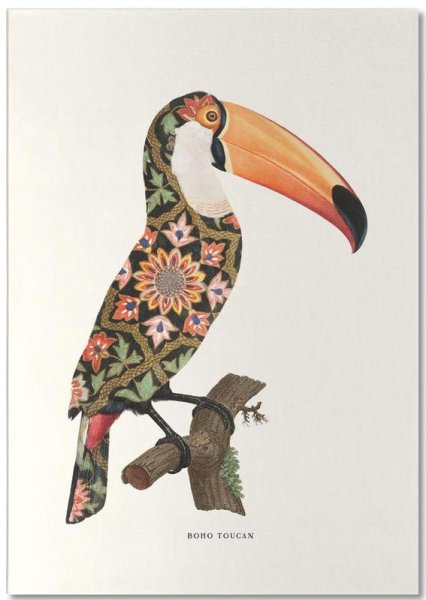 Тукан масляная пастель