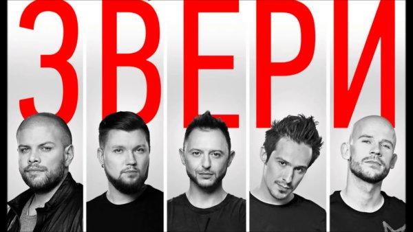 Группа звери