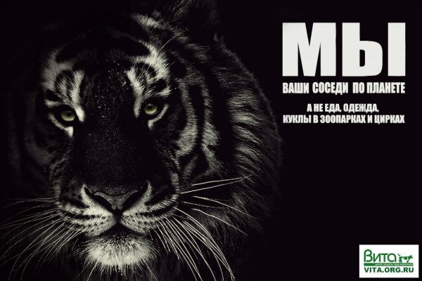 Плакат мир животных