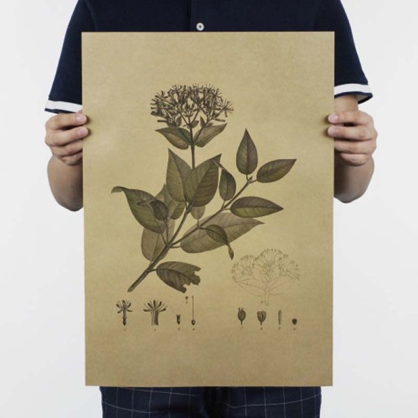 Бумага для плакатов