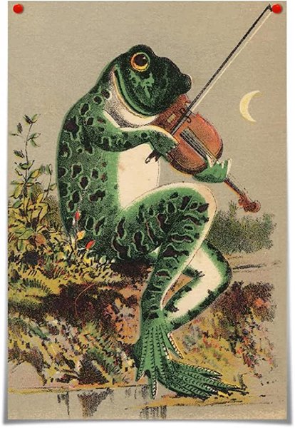 Постеры на стену лягушка