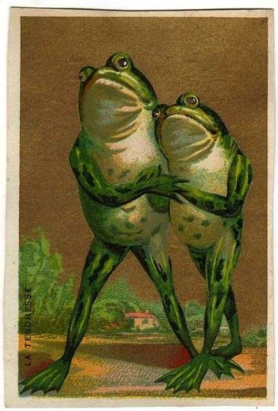 Постеры с лягушками
