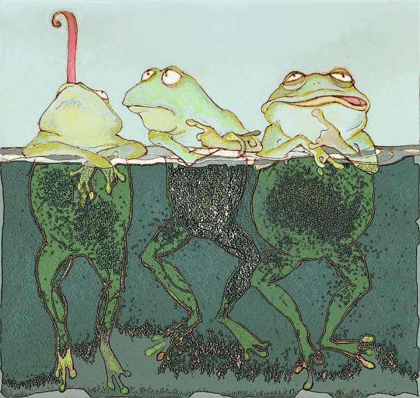 Жаба сюрреализм