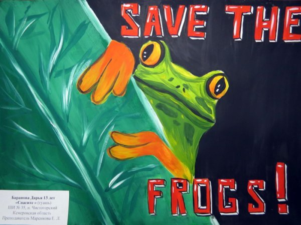 Эстетика в стиле инди КИД лягушки