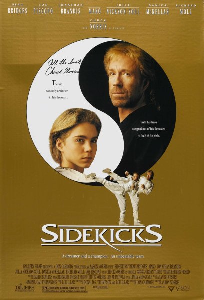 Sidekicks 1992