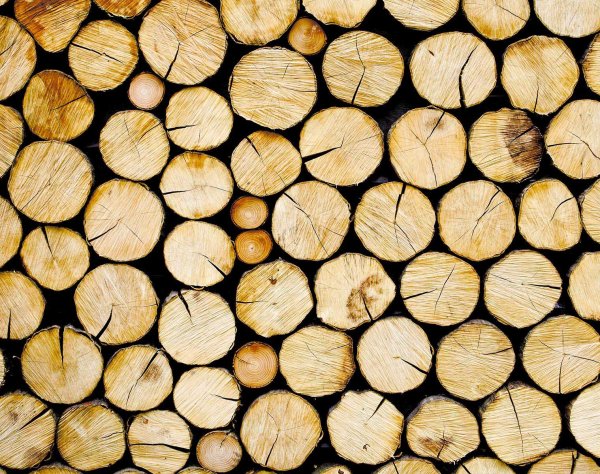 Фон дерева для макета бревна