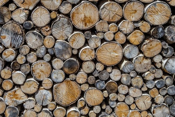 Осиновые дрова в мешках