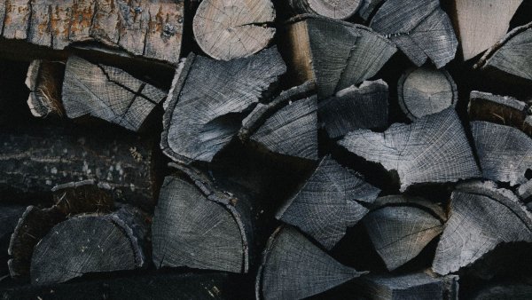 Текстура кругляка дерева