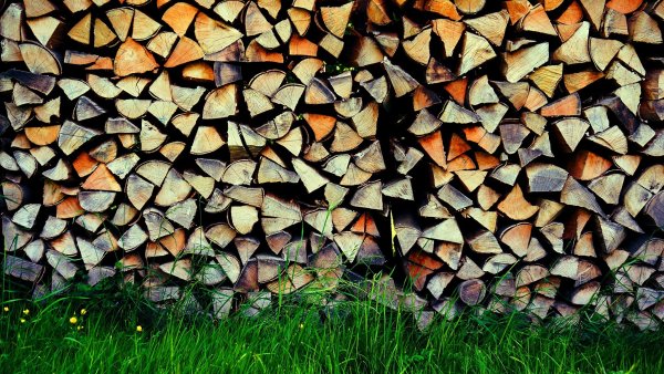 Деревянное полено