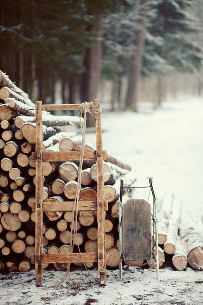 Дрова картина