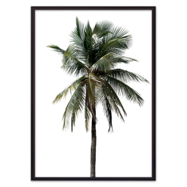 Corleone Пальма