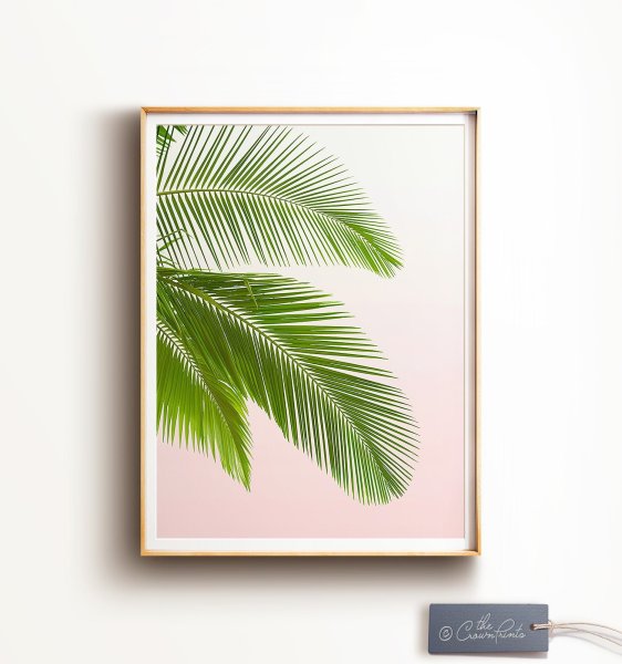 Постер "пальмы"