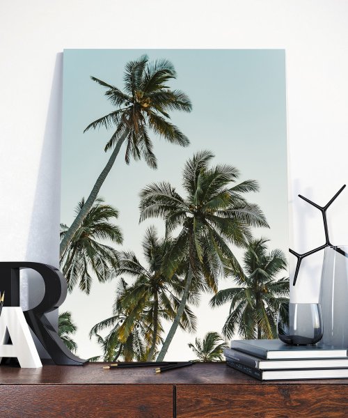 Картина пальмы черно белая