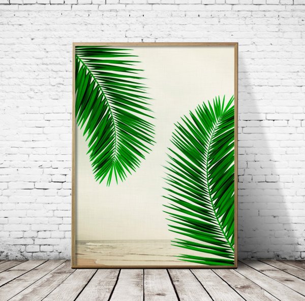 Пальмы ботаника