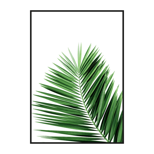 Постер пальмы Леруа Мерлен 30 40