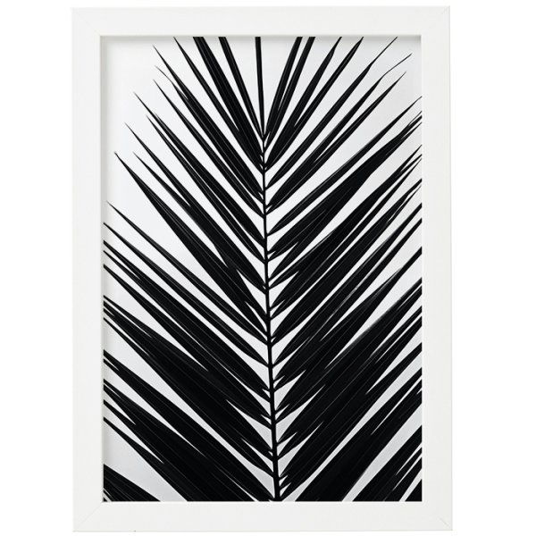 Постер тропические листья