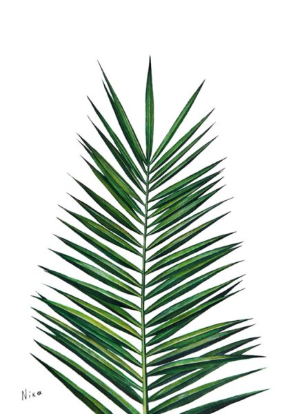 Постер тропические листья