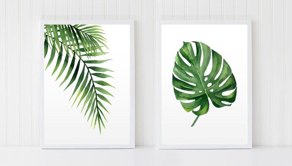 Постер "пальмы"