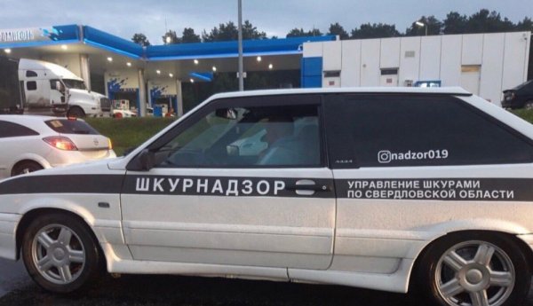 Отдел по борьбе с усатыми тёлками пропуск