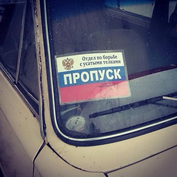 Отдел по борьбе с понтами машина