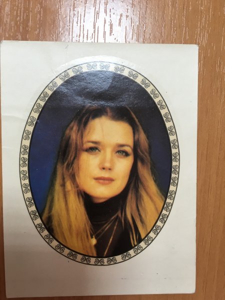 Переводилки ГДР 80 Х