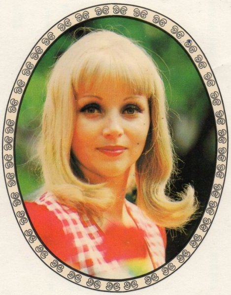 Переводилки ГДР