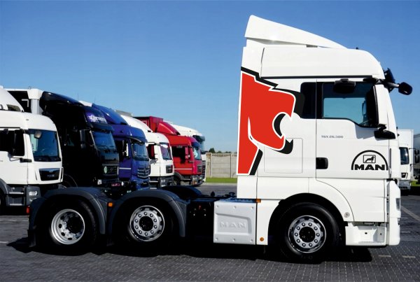 Наклейки на man TGX