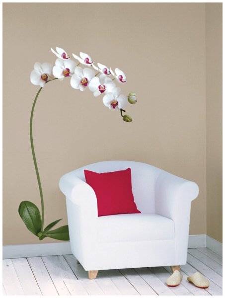 Декоретто Орхидея