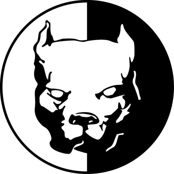 Питбуль Давидыча