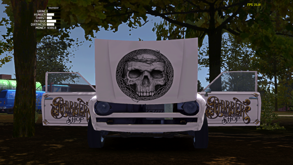 My Summer car скины