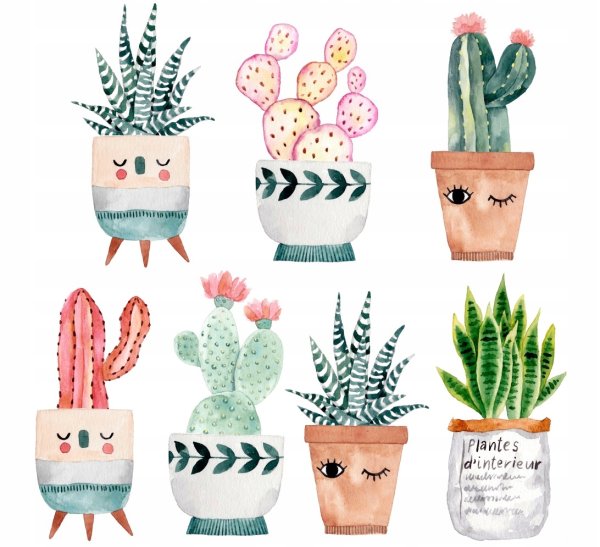 Наклейки на окна цветы в горшках