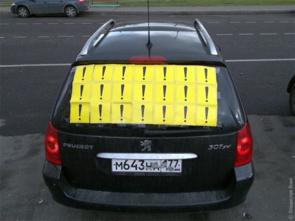 Начинающий водитель