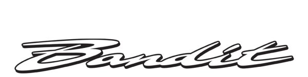 Силуэт сбоку горный мотоцикл