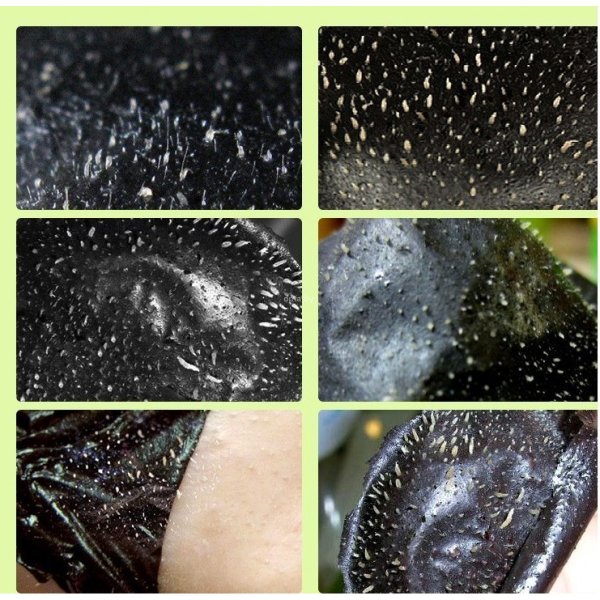 Следы насекомых на автомобиле