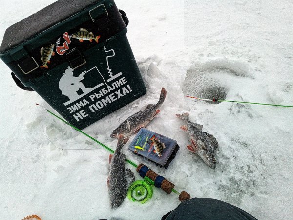 Фиш Хантер лого