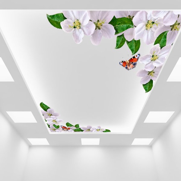 Наклейки на потолок