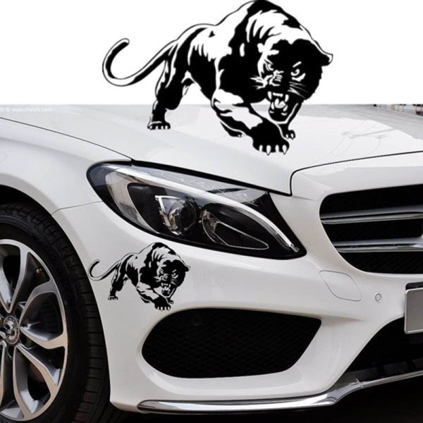 Наклейка на автомобиль