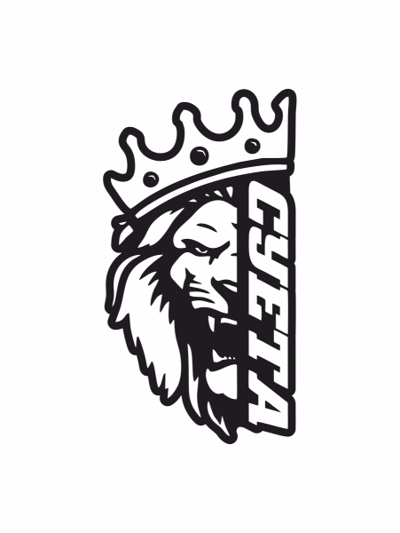 Pride car Audio Лев