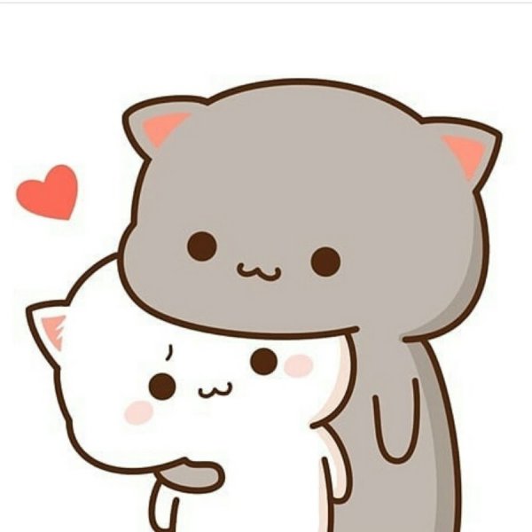 Кавайные котики парочка