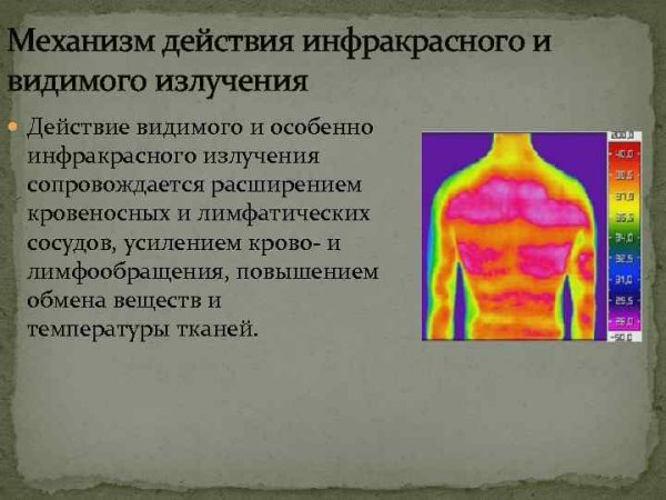 Стеклянные перегородки витрины