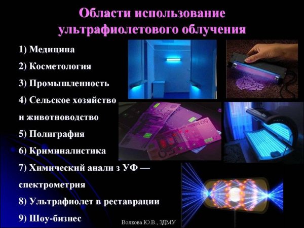 Избранное в вайлдберриз