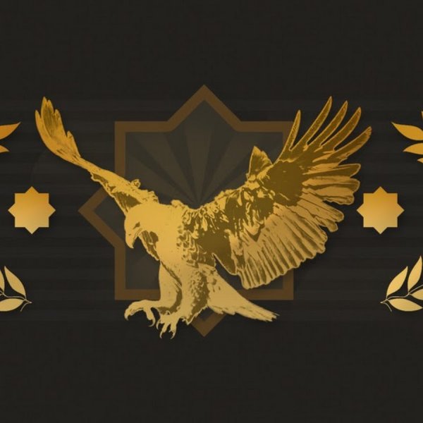 Звания в КС го Беркут Лем