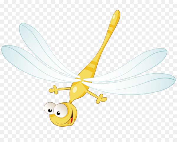 Бабочки и Стрекозы трафареты цветные