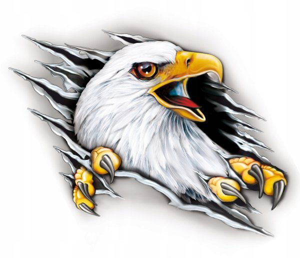 Голова орла стикер