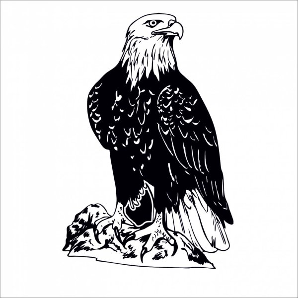 Наклейка (стикер) Орел