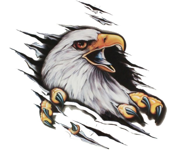 Виниловые наклейки на стекло