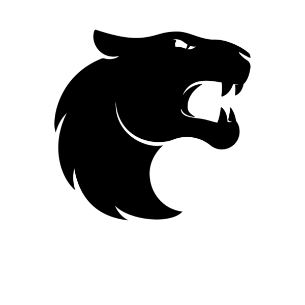 Наклейка Furia Holo Stockholm 2021