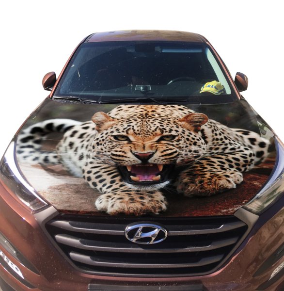 Винил на капот автомобиля