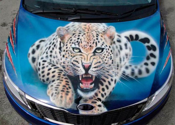 Наклейки на капот автомобиля